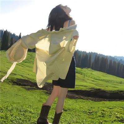 热斗小斑马